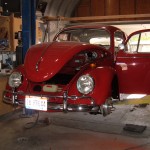 1966 VW Beetle: Front '66 VW Beetle: Front
